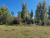 Buy the village "Quiet Harbor" by the Oskol River land plots of the Altai Mountains